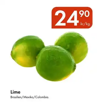 Snabbgross Lime erbjuda