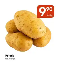 Snabbgross Potatis erbjuda