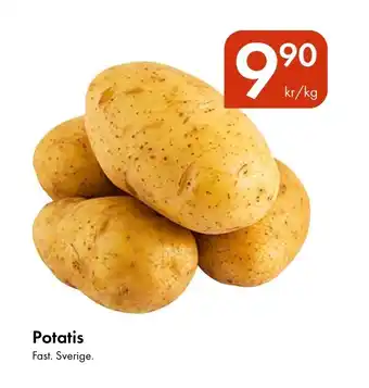 Snabbgross Potatis erbjuda