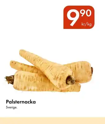 Snabbgross Palsternacka erbjuda