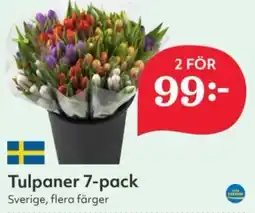 Hemköp Tulpaner erbjuda