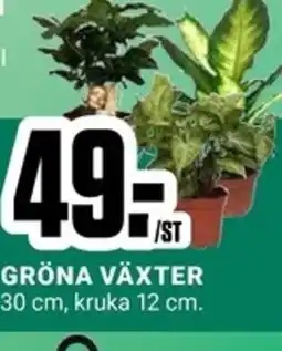 ÖoB GRÖNA VÄXTER erbjuda