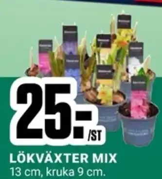 ÖoB LÖKVÄXTER MIX erbjuda