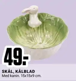 ÖoB SKÅL, KÅLBLAD erbjuda