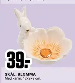 ÖoB SKÅL, BLOMMA erbjuda