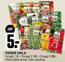 ÖoB Fröer odla erbjuda