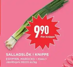 Willys SALLADSLÖK I KNIPPE erbjuda