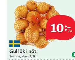 Östenssons Gullök i nät Sverige, klass erbjuda