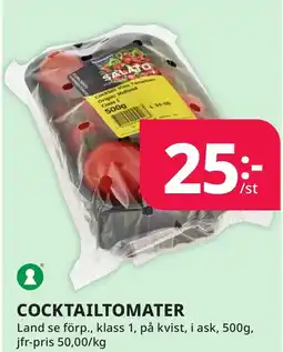 Bingebyhallen Cocktailtomater erbjuda