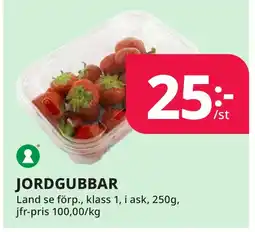 Bingebyhallen Jordgubbar erbjuda