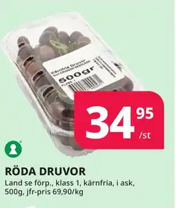 Bingebyhallen Röda druvor erbjuda