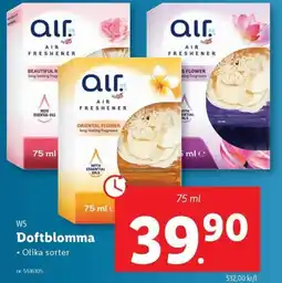 Lidl W5 Doftblomma erbjuda