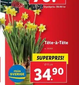 Lidl Tête-à-Tête erbjuda