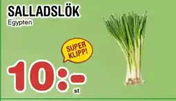 Nya Pulsen Salladslök erbjuda