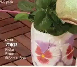 DollarStore Kruka Blomma erbjuda