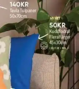 DollarStore Kuddfodral Flera färger erbjuda