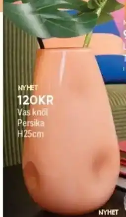 DollarStore Vas knōl Persika erbjuda