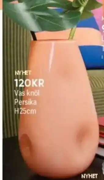 DollarStore Vas knōl Persika erbjuda