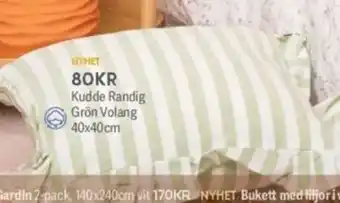 DollarStore Kudde Randig Grön Volang erbjuda