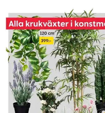 Rusta Krukväxter i konstmaterial Olika storlekar och modeller. erbjuda