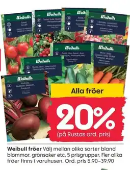 Rusta Weibull fröer erbjuda