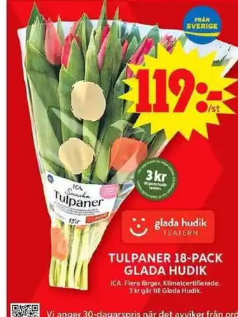 ICA Maxi TULPANER 18-PACK GLADA HUDIK erbjuda