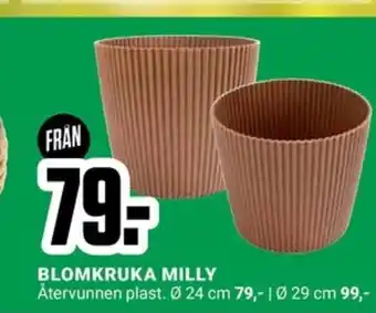 ÖoB BLOMKRUKA MILLY erbjuda