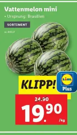 Lidl Vattenmelon mini erbjuda