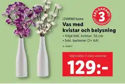 Lidl LIVARNO home Vas med kvistar och belysning erbjuda