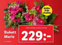 Lidl Bukett Marie erbjuda
