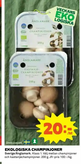 Coop Änglamark Champinjoner erbjuda