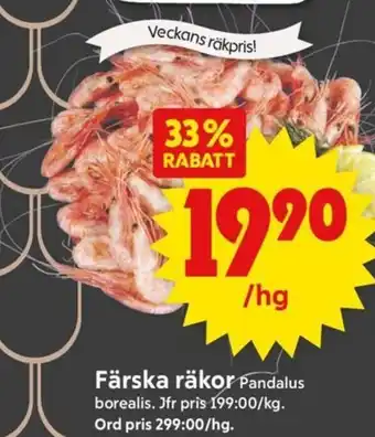 ICA Supermarket Färska räkor erbjuda