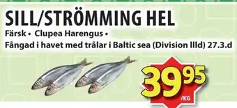 Matvärlden Tensta SILL/STRÖMMING HEL erbjuda