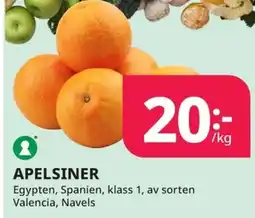 Tempo APELSINER erbjuda