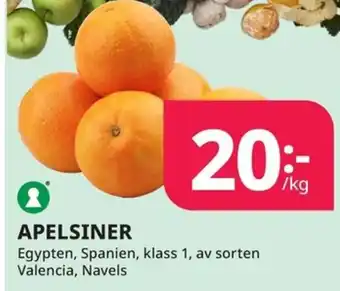 Tempo APELSINER erbjuda