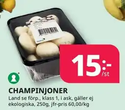 Tempo CHAMPINJONER erbjuda