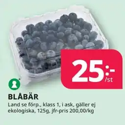 Tempo BLÅBÄR erbjuda