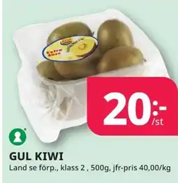 Tempo GUL KIWI erbjuda