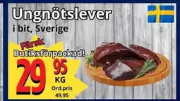 Supergrossen Ungnötslever erbjuda