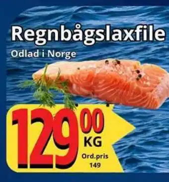 Supergrossen Regnbågslaxfile Hel Gös erbjuda