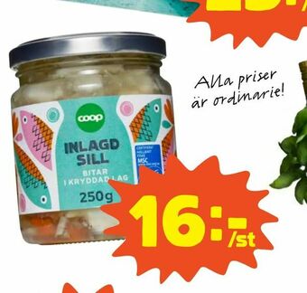 Coop Inlagd sill erbjuda