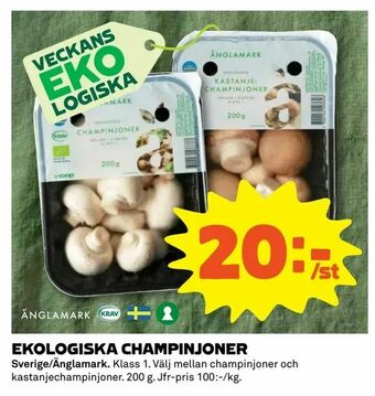 Coop Extra Ekologiska champinjoner erbjuda