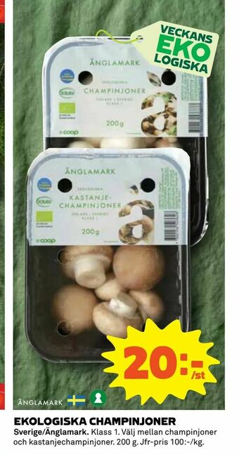 Coop Daglivs Ekologiska champinjoner erbjuda