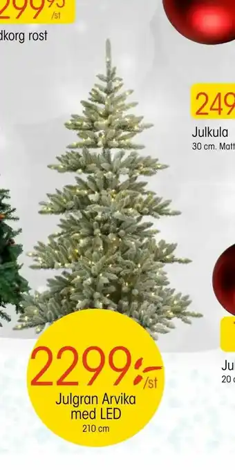 EKO Julgran Arvika erbjuda