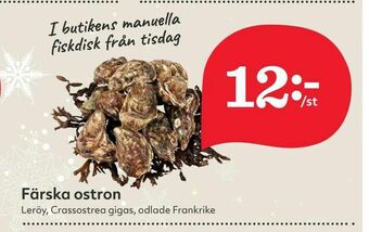Hemköp Färska ostron erbjuda