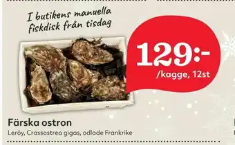 Hemköp Sushilax Färska ostron erbjuda