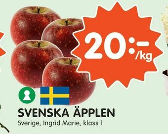 Tempo Svenska äpplen erbjuda