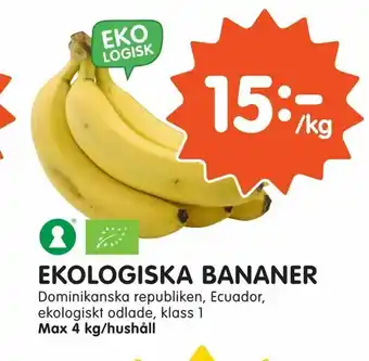 Tempo Ekologiska bananer erbjuda