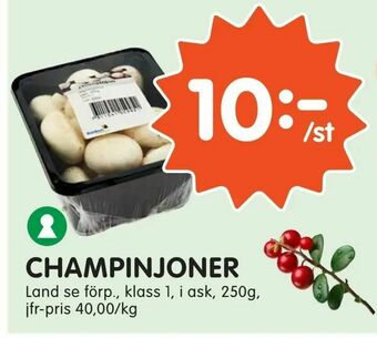 Tempo Champinjoner erbjuda