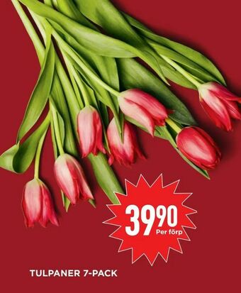 Willys Tulpaner 7-pack erbjuda